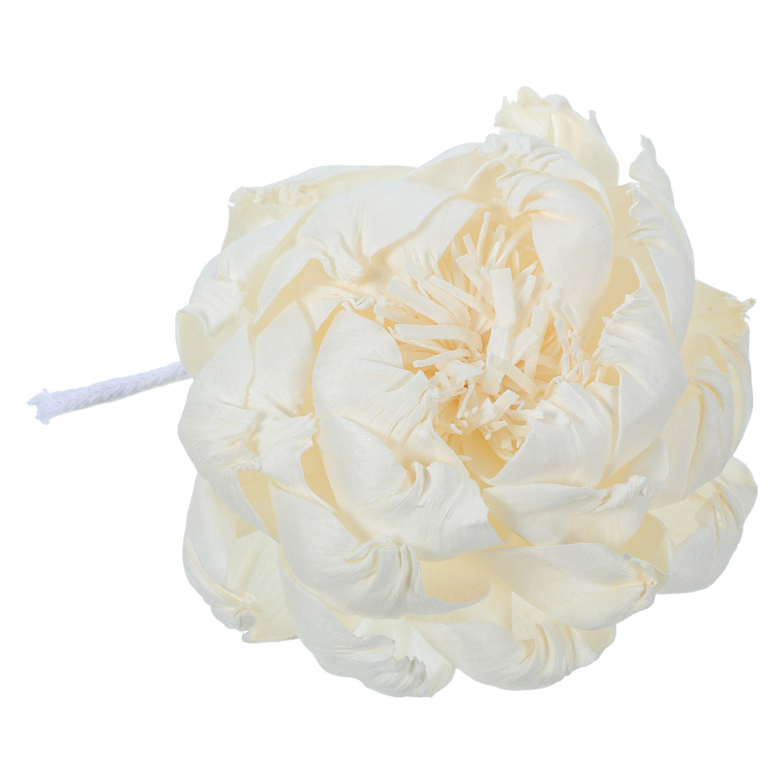 Peony Head Fragrance Diffuser  - Fragrance Home Decor review and price